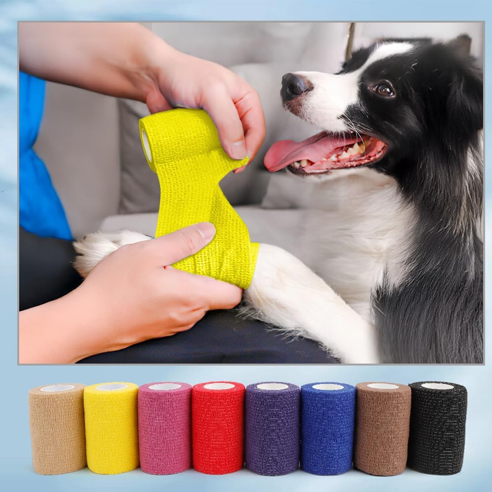 Pet Cohesive Bandage, Vet se adhaerens animalia AMICTORIUM