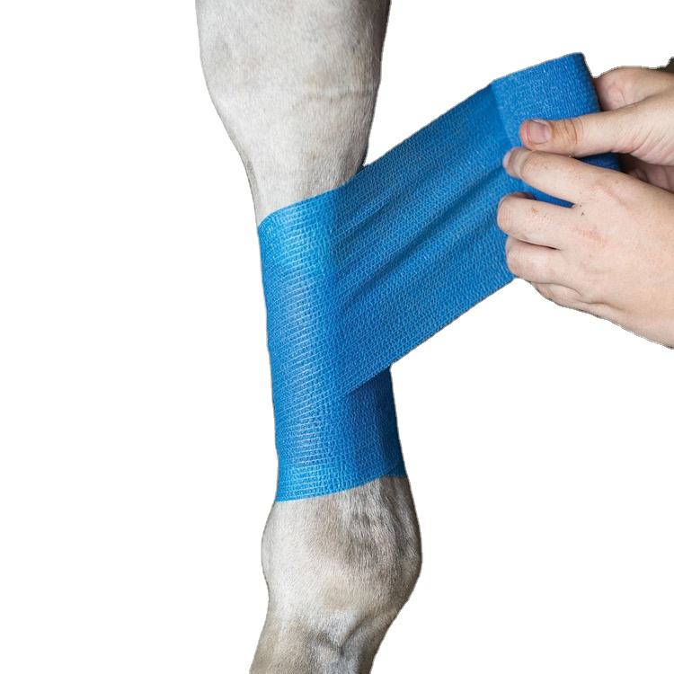 Equus Leg Bandage, AMICTORIUM, Non texta elastica Cohesive Bandage