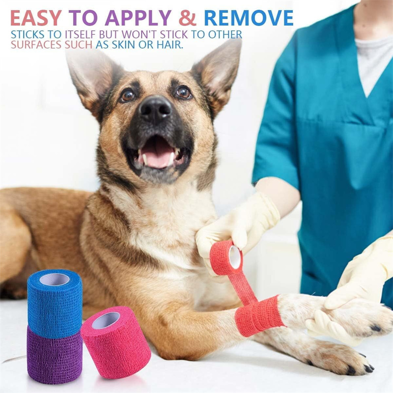 Sui tenaces Bandage AMICTORIUM - Cohesive, spirabile, manus-lacrimulam compressionem AMICTORIUM Sui tenaces Bandage AMICTORIUM - Cohesive, spirabile, manus-lacrimulam compressionem AMICTORIUM